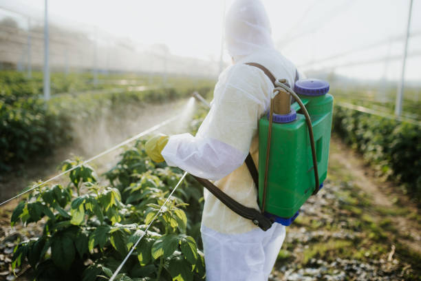 Indoor Pest Control in South Houston, TX